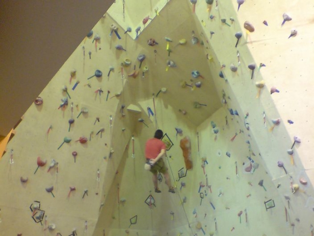  Carrying out the activity 